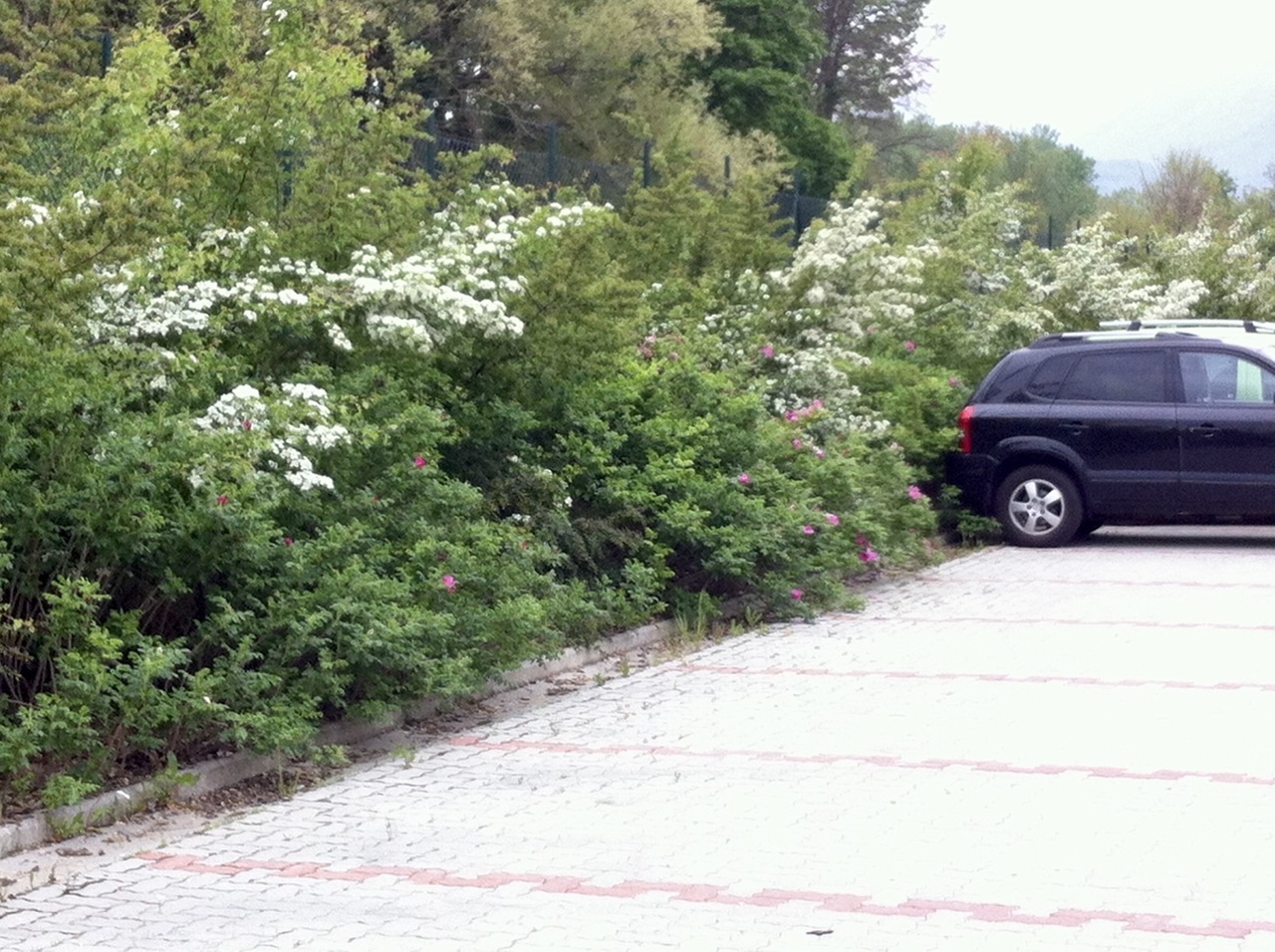 parcheggio 1