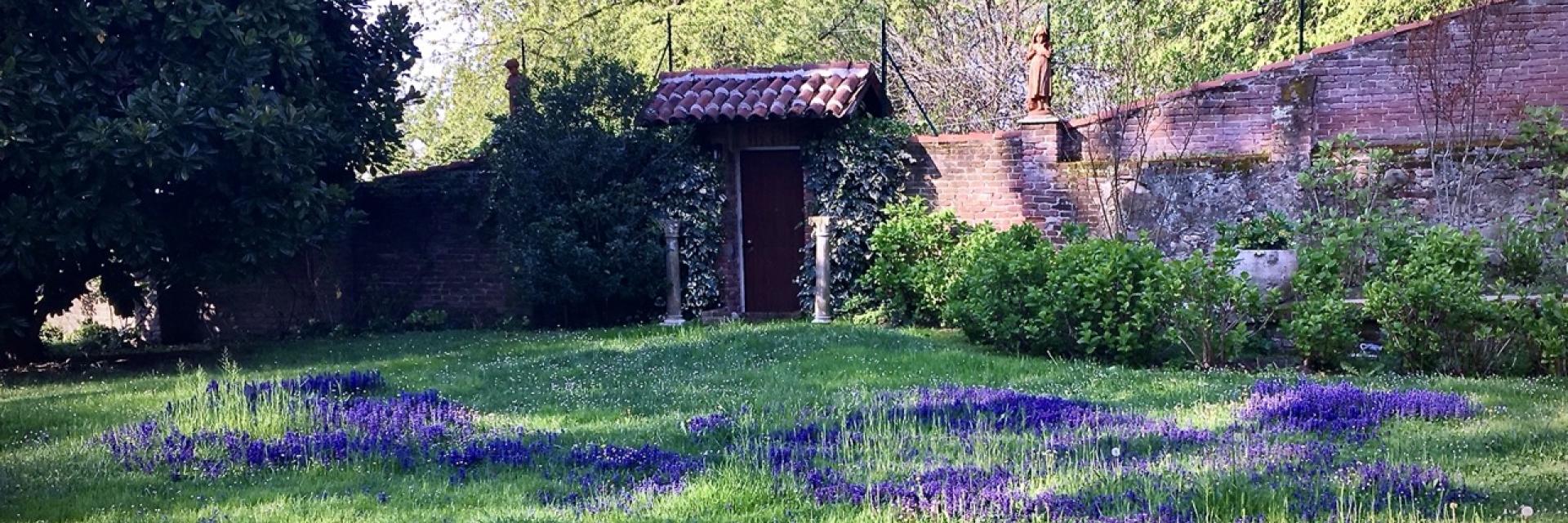 primavera nell'aria