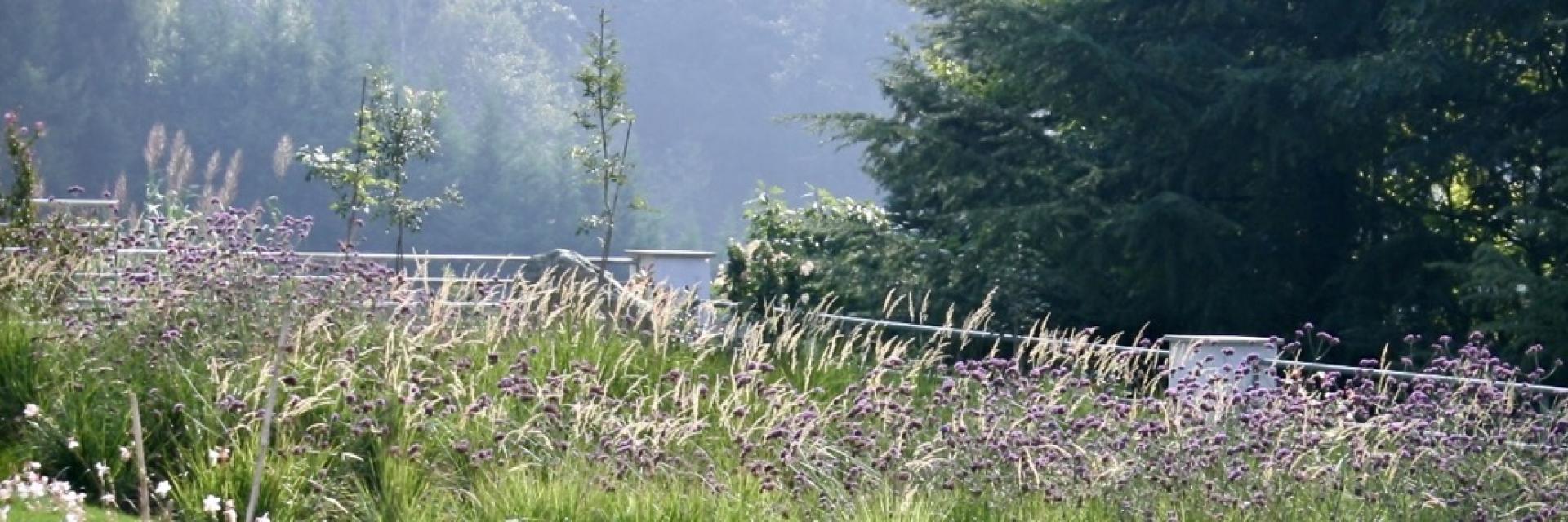 collina 9